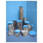 boomstamkrukjes <p>v.a. € 12,50 p/s VERHUUR</p>
<p>9 stuks / verschillende hoogtes / hout</p>